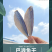 咸鱼干北海特产鱼干池鱼干巴浪鱼干海鲜干货批发棍子鱼干