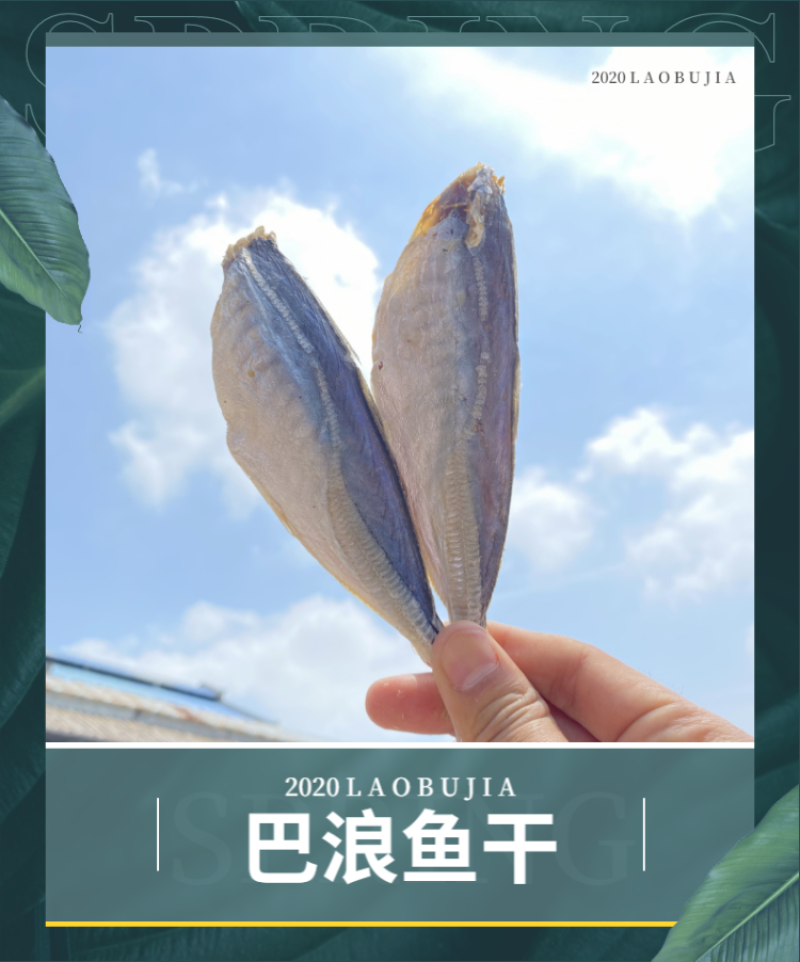 咸鱼干北海特产鱼干池鱼干巴浪鱼干海鲜干货批发棍子鱼干