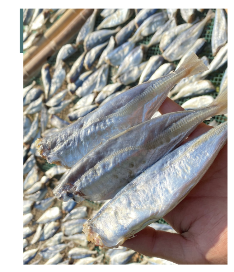 咸鱼干北海特产鱼干池鱼干巴浪鱼干海鲜干货批发棍子鱼干