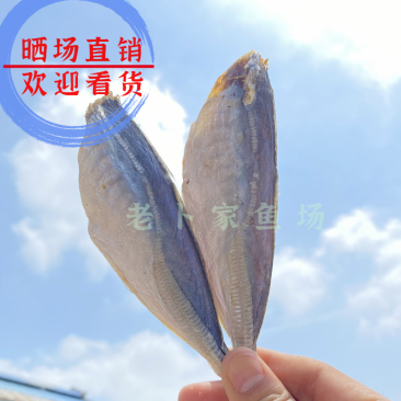 咸鱼干北海特产鱼干池鱼干巴浪鱼干海鲜干货批发棍子鱼干
