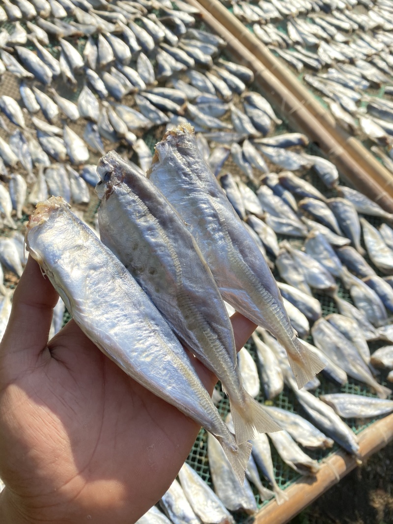 咸鱼干北海特产鱼干池鱼干巴浪鱼干海鲜干货批发棍子鱼干
