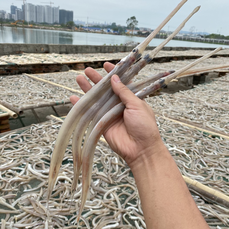 北海特产海鲜干货批发鹤嘴鱼干马鞭鱼鳞烟管鱼白鳗鱼干咸鱼干