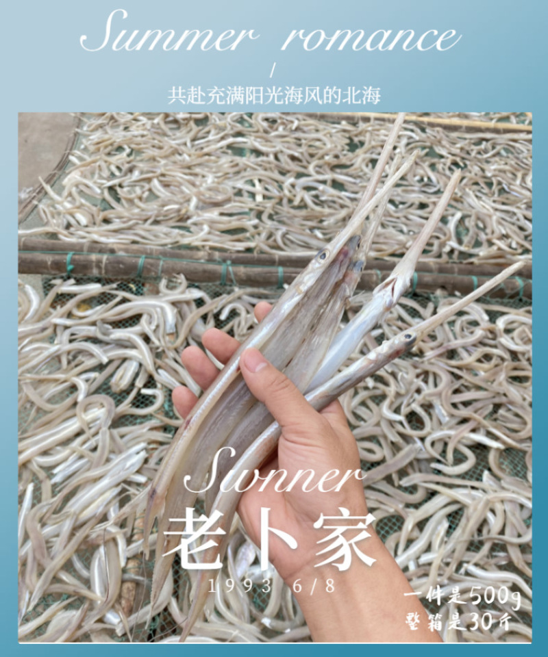 北海特产海鲜干货批发鹤嘴鱼干马鞭鱼鳞烟管鱼白鳗鱼干咸鱼干