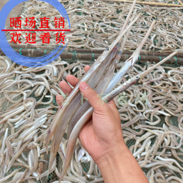 北海特产海鲜干货批发鹤嘴鱼干马鞭鱼鳞烟管鱼白鳗鱼干咸鱼干