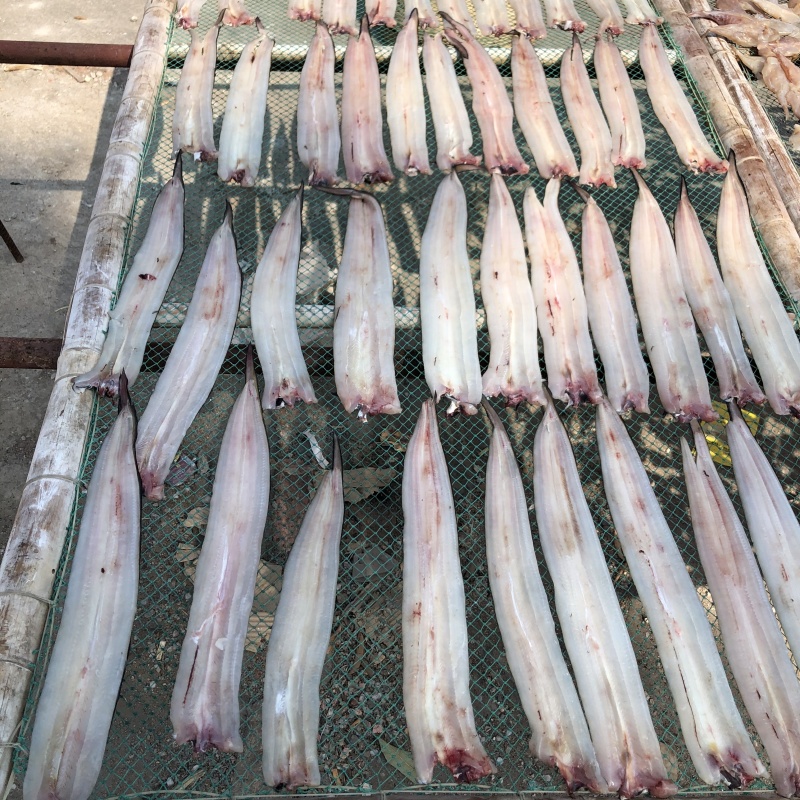 海鲜干货批发鳗鱼干鳝鱼片各规格鱼干水产干货批发晒场直发