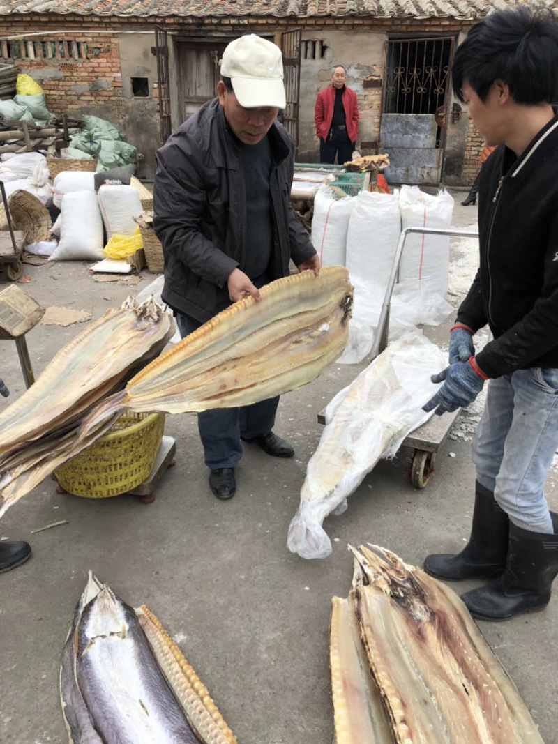 海鲜干货批发鳗鱼干鳝鱼片各规格鱼干水产干货批发晒场直发