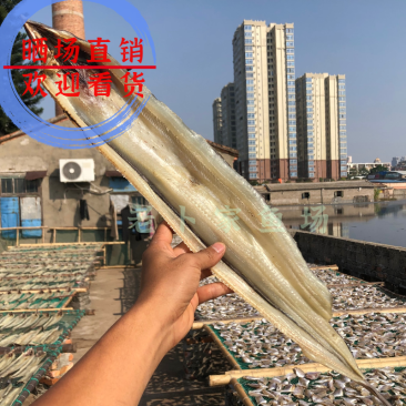 海鲜干货批发鳗鱼干鳝鱼片各规格鱼干水产干货批发晒场直发