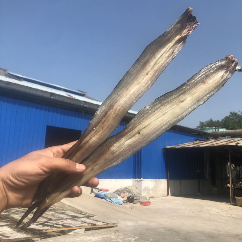 海鲜干货批发鳗鱼干鳝鱼片各规格鱼干水产干货批发晒场直发