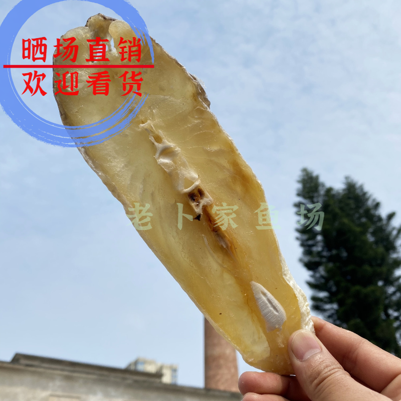 北海特产海鲜干货批发马友鱼片马友鱼批发晒场直销淡晒各类规