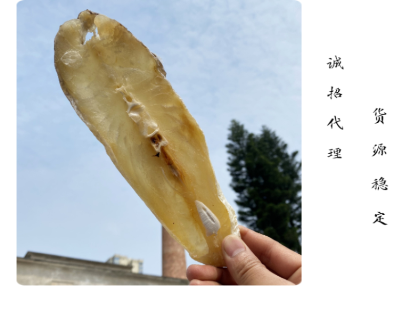 北海特产海鲜干货批发马友鱼片马友鱼批发晒场直销淡晒各类规