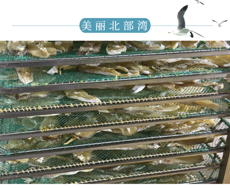 北海特产海鲜干货批发马友鱼片马友鱼批发晒场直销淡晒各类规