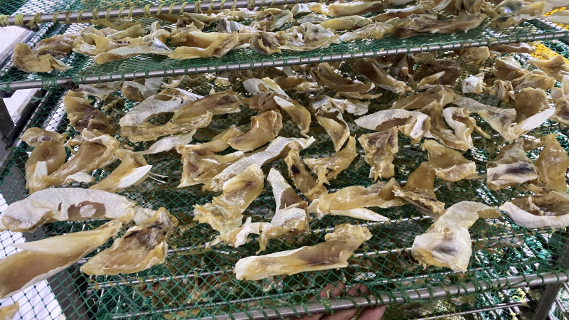 北海特产海鲜干货批发马友鱼片马友鱼批发晒场直销淡晒各类规