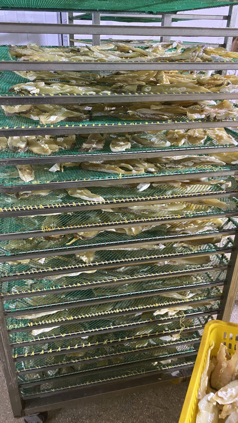 北海特产海鲜干货批发马友鱼片马友鱼批发晒场直销淡晒各类规