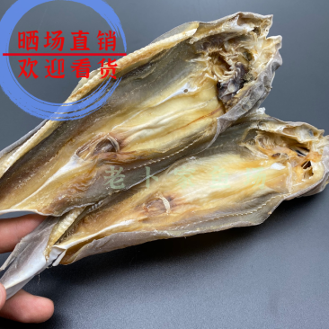 北海特产咸鱼干小沙鱼淡味少量货