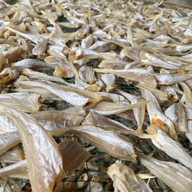 北海特产红娘鱼干六角头红头鱼肉角咸鱼干批发品质好货