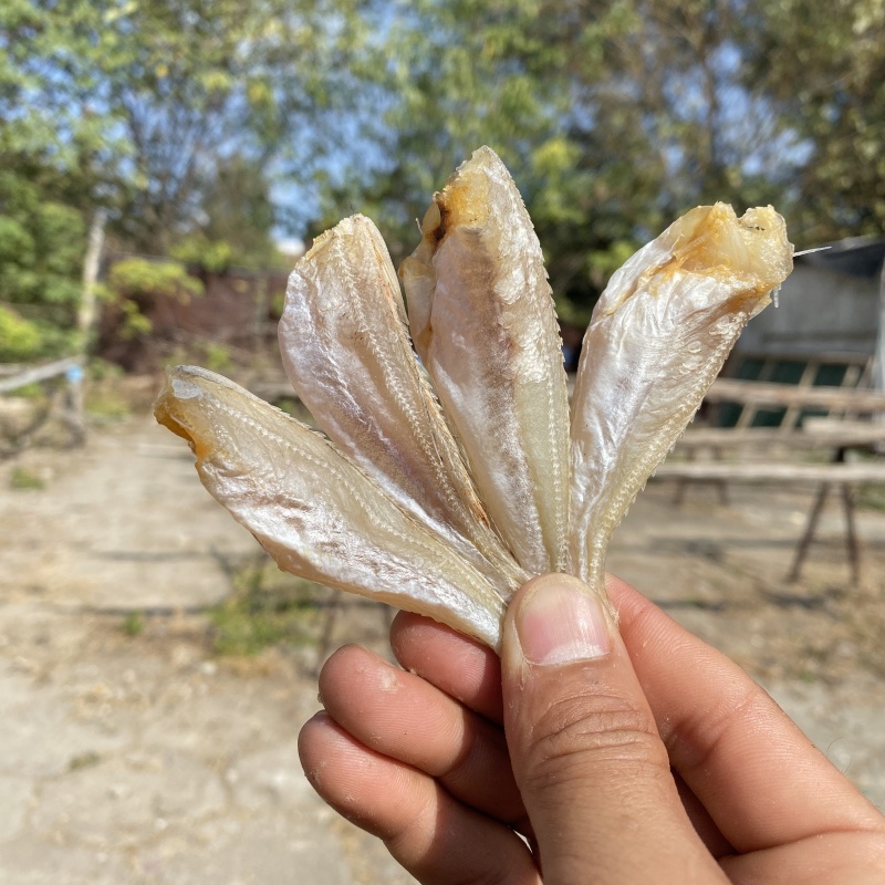 北海特产红娘鱼干六角头红头鱼肉角咸鱼干批发品质好货