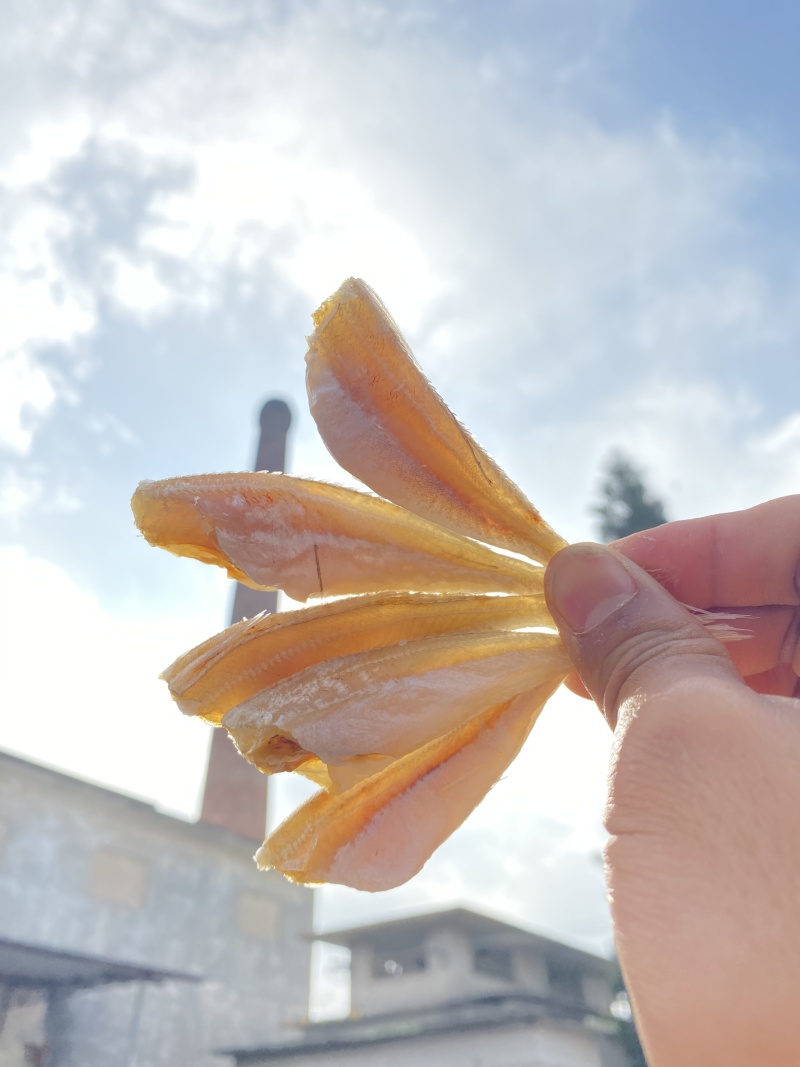 北海特产红娘鱼干六角头红头鱼肉角咸鱼干批发品质好货
