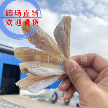 北海特产红娘鱼干六角头红头鱼肉角咸鱼干批发品质好货
