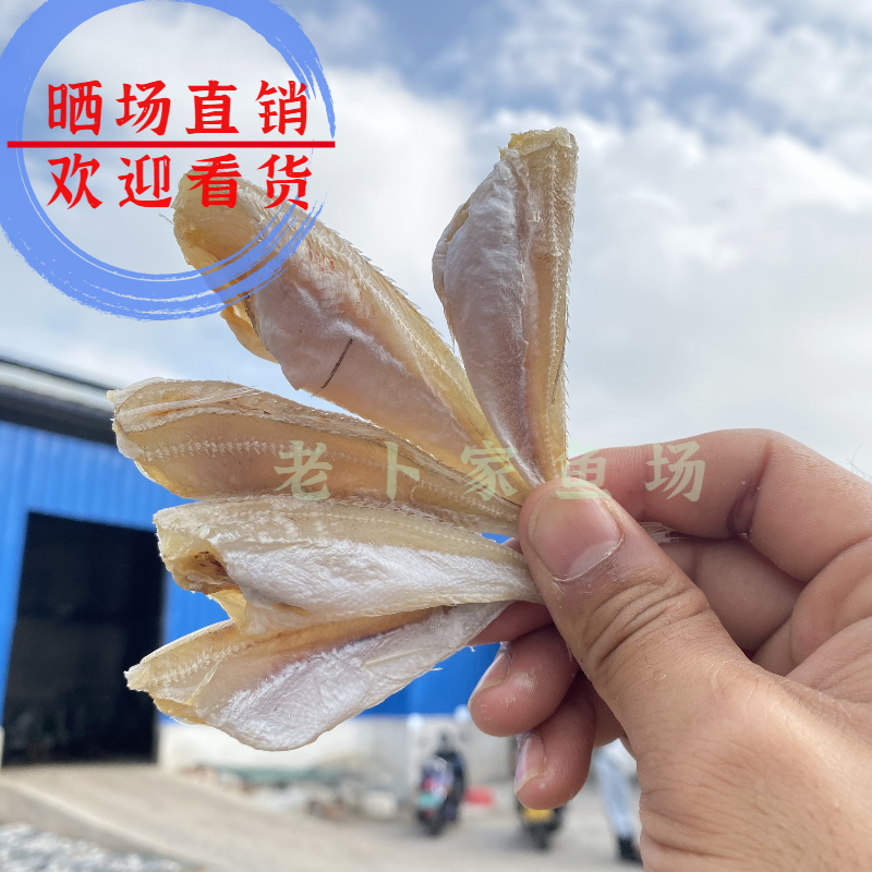 北海特产红娘鱼干六角头红头鱼肉角咸鱼干批发品质好货