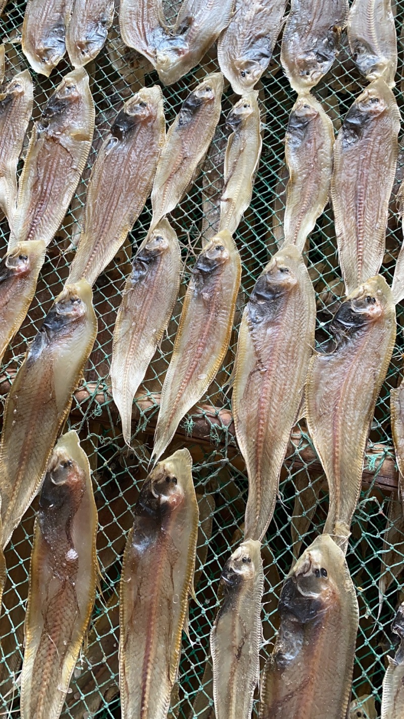 北海鱼干龙利鱼干北海特产淡盐鱼干子板鱼鳎目鱼海鲜干货批发