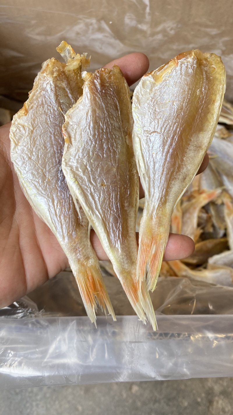 北海特产红杉鱼干红三黄肚三金线三金丝红三甲线红三海鲜干货
