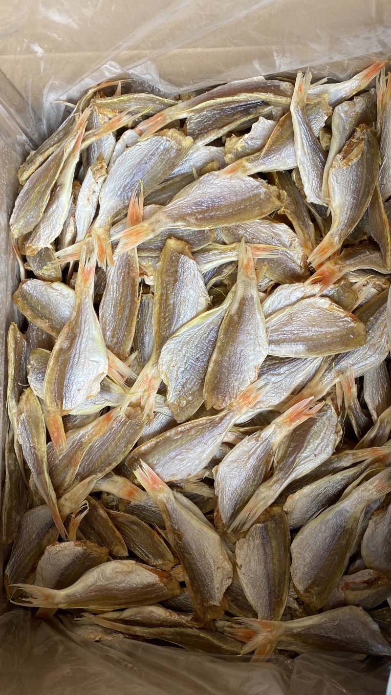 北海特产红杉鱼干红三黄肚三金线三金丝红三甲线红三海鲜干货
