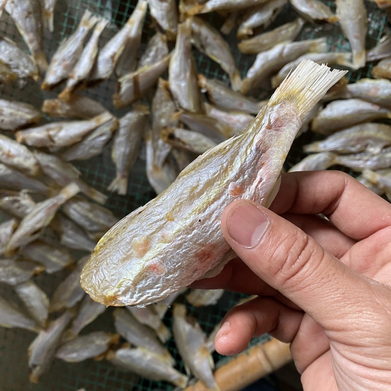 北海特产红杉鱼干红三黄肚三金线三金丝红三甲线红三海鲜干货