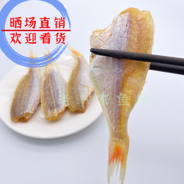 北海特产红杉鱼干红三黄肚三金线三金丝红三甲线红三海鲜干货