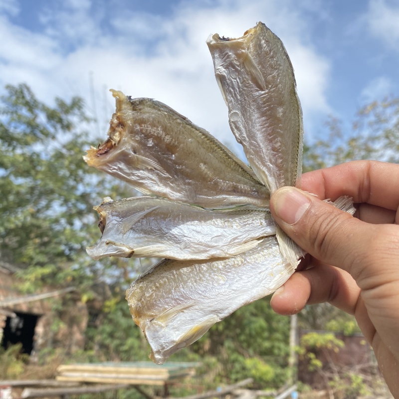 北海特产海鲜干货批发黄花鱼滑仔鱼干咸鱼干货批发黄鱼干