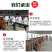 黄牛苗质量保证免费送货享受补贴报销路费