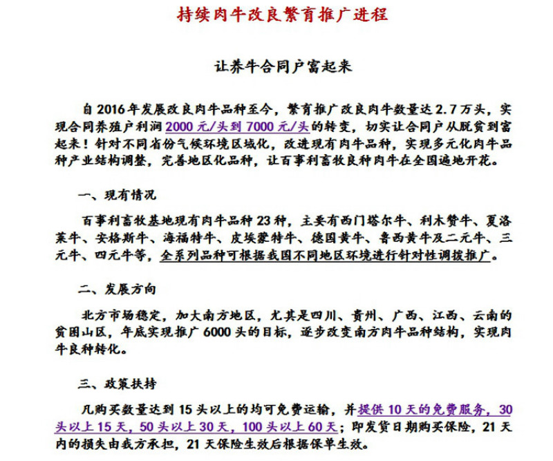 黄牛崽厂家直销质量保证送货上门报销路费包技术