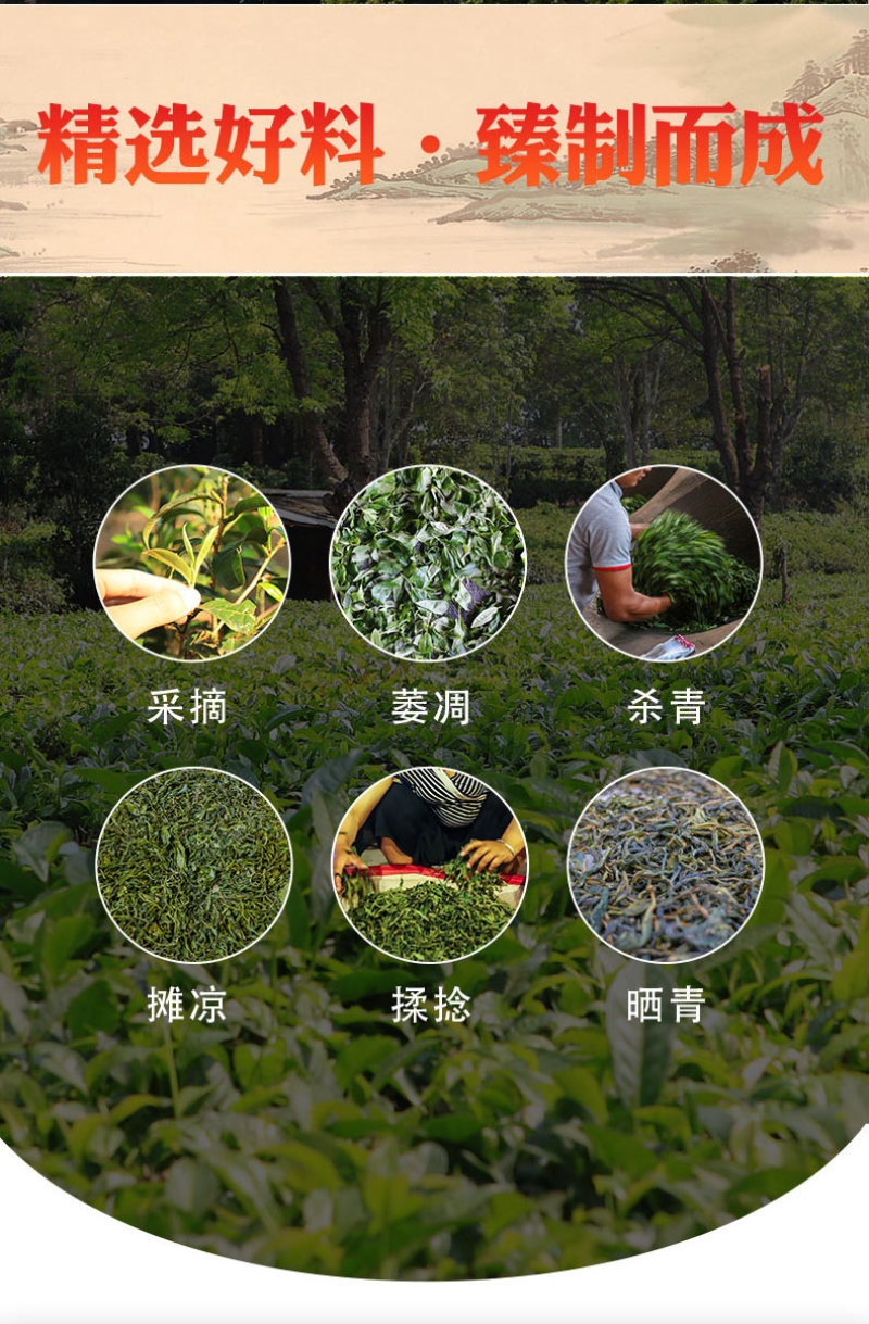 云南普洱茶生茶饼茶357g老曼娥古树生茶