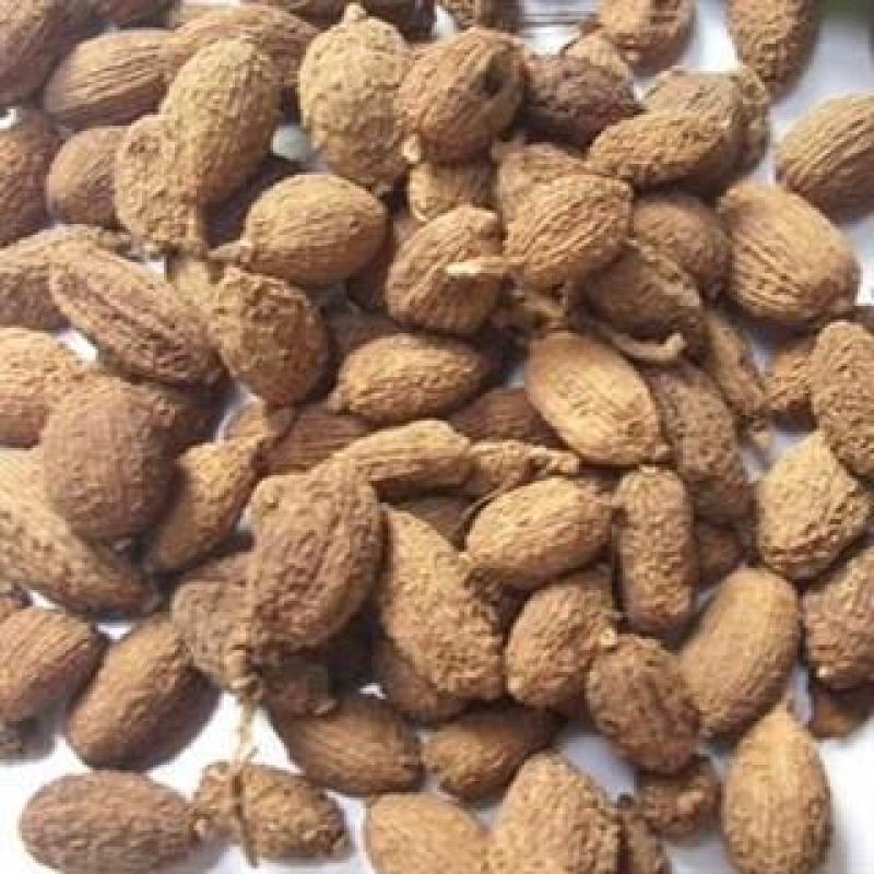壳砂仁砂仁米一手货源新店开张全场起价包邮大货面议