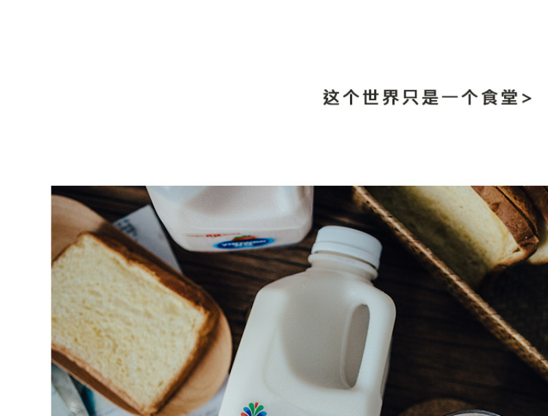 木糖醇无糖脱脂酸奶发酵型乳酸菌整箱牛奶饮品1kg桶装