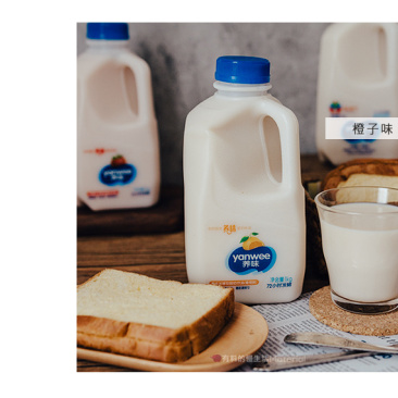 木糖醇无糖脱脂酸奶发酵型乳酸菌整箱牛奶饮品1kg桶装