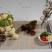 云南特产石屏豆腐鲜豆腐臭豆腐包浆豆腐火锅烧烤铁板