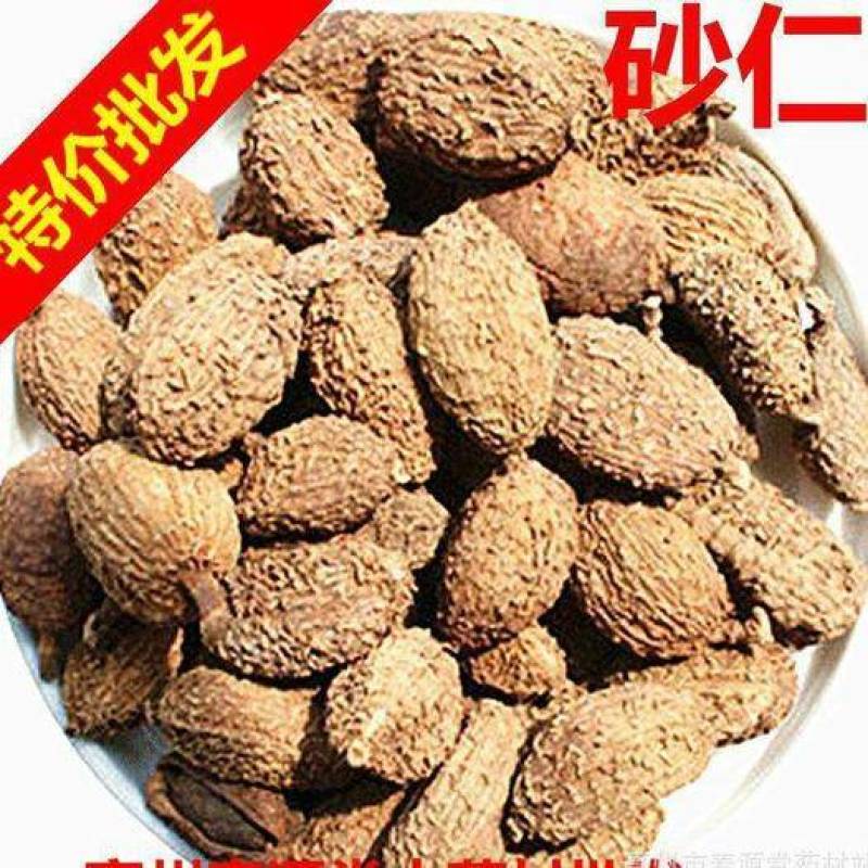 壳砂仁砂仁米一手货源新店开张全场起价包邮大货面议