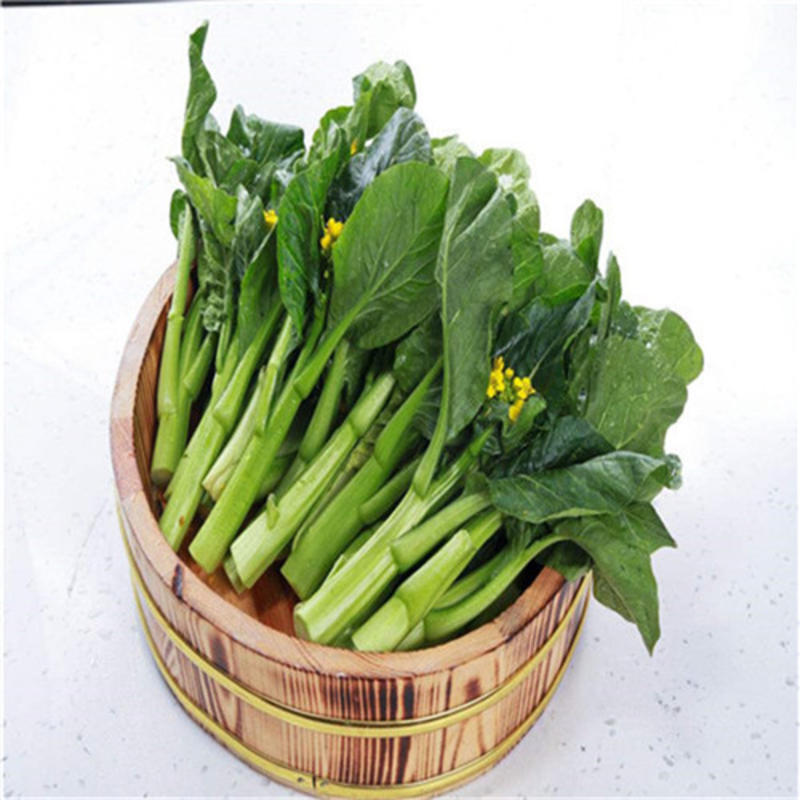 广良菜心种子抗热耐湿30天收青菜种籽春季夏季四季