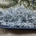 重庆野生藤茶莓茶龙须毛尖正品