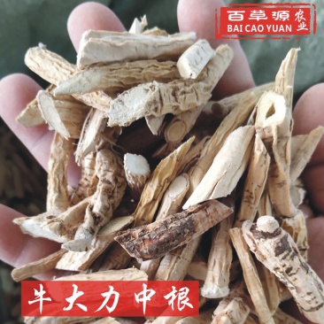 百草源牛大力干货中根干片木质根干片长期供应