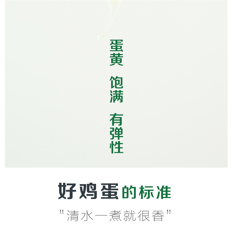 隆阳乡耕正宗散养绿壳鸡蛋30个礼盒装