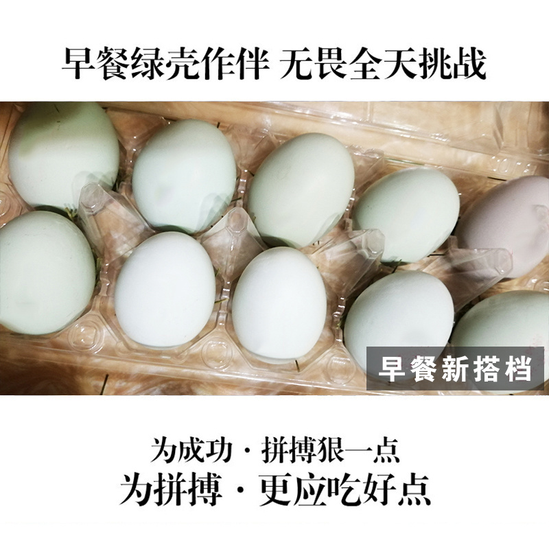 隆阳乡耕正宗散养绿壳鸡蛋30个礼盒装