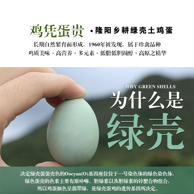 隆阳乡耕正宗散养绿壳鸡蛋30个礼盒装
