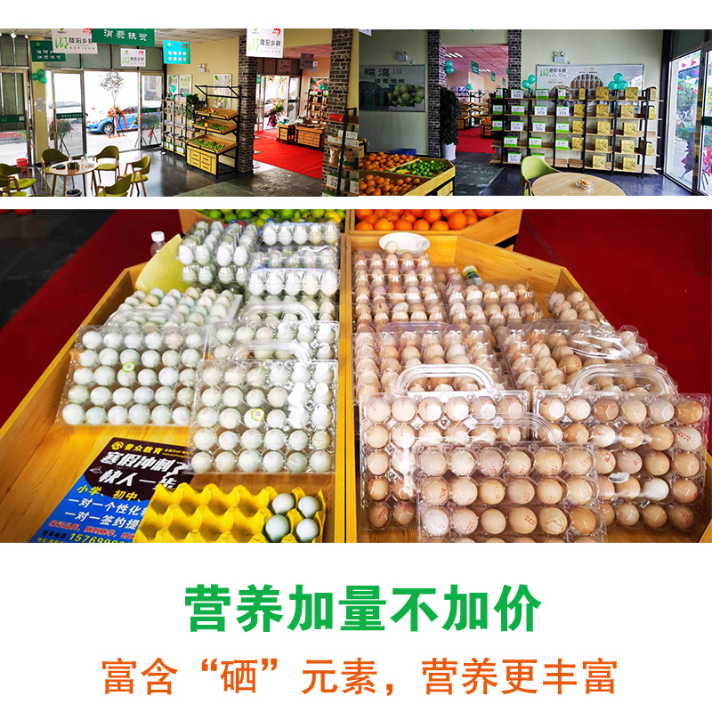 隆阳乡耕正宗散养绿壳鸡蛋30个礼盒装