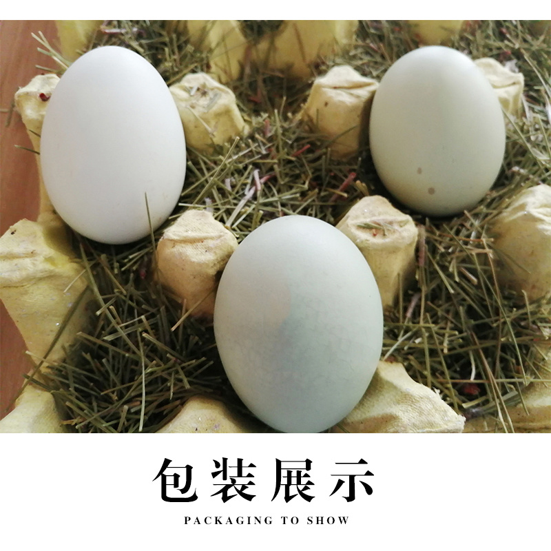 隆阳乡耕正宗散养绿壳鸡蛋30个礼盒装