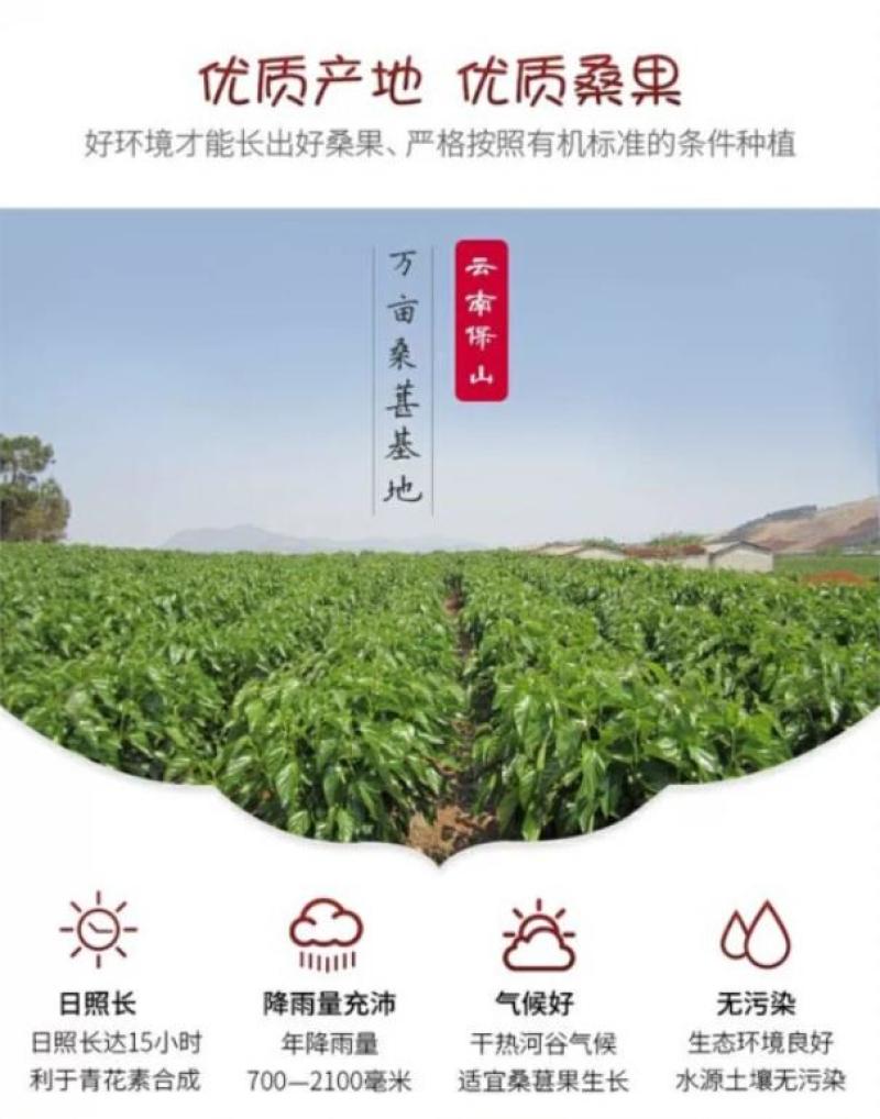 隆阳乡耕桑葚干袋装178g