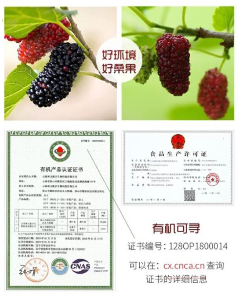 隆阳乡耕桑葚干袋装178g