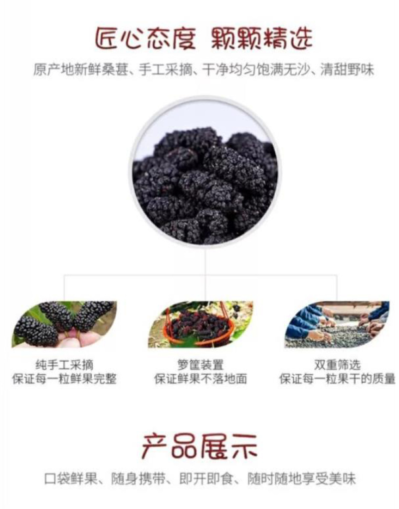 隆阳乡耕桑葚干袋装178g