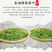 武当龙箭•武当道茶简装红茶150g*2袋