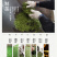 武当龙箭•武当道茶简装红茶150g*2袋